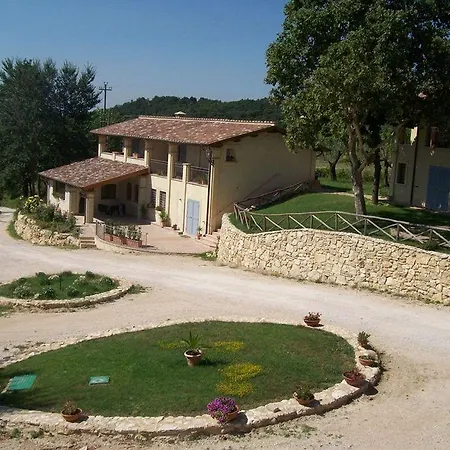 Tenuta Pizzogallo *