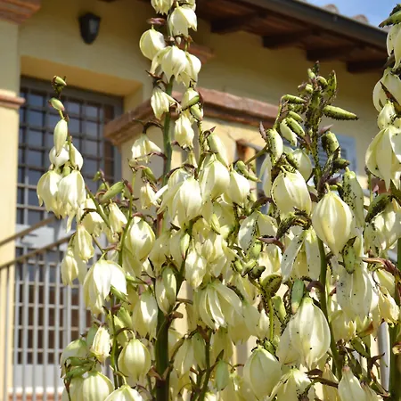 Casa di campagna Tenuta Pizzogallo