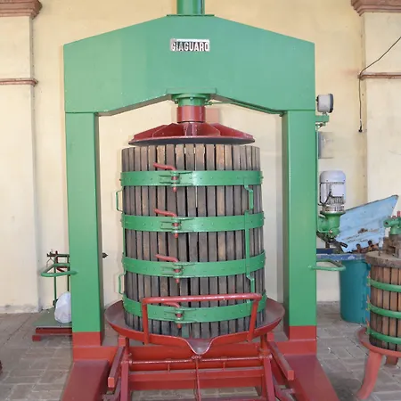 Tenuta Pizzogallo * Amelia