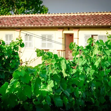 Tenuta Pizzogallo Casa di campagna *