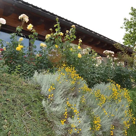 Tenuta Pizzogallo * Amelia