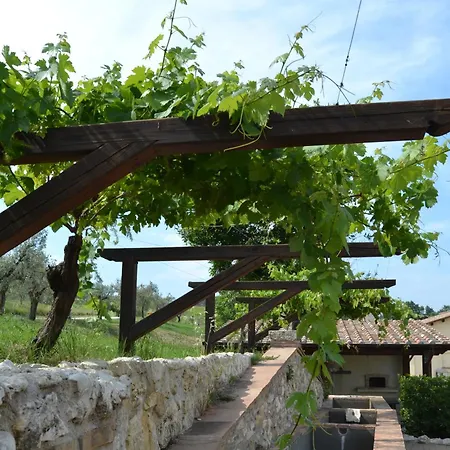 Tenuta Pizzogallo *