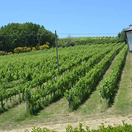 Tenuta Pizzogallo *