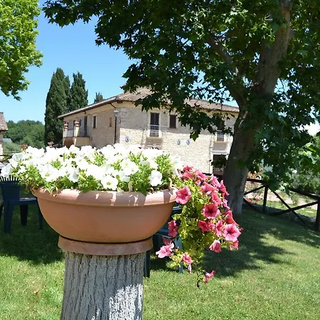 Tenuta Pizzogallo Casa di campagna Amelia