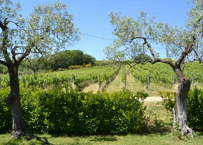 Tenuta Pizzogallo * أميليا