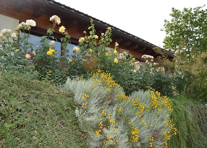 Tenuta Pizzogallo * أميليا